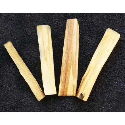palo santo træ Peru