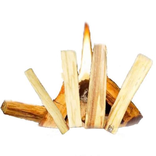 Palosanto træ