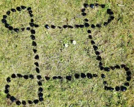 Skal der ryttes op, så er det med sort obsidian