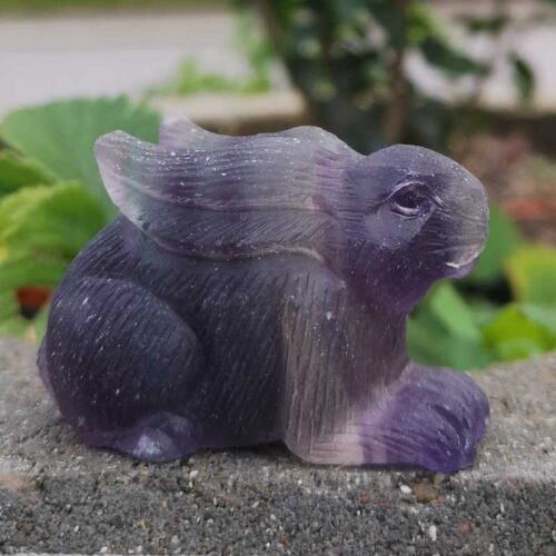 Regnbue flourit hare - kanin