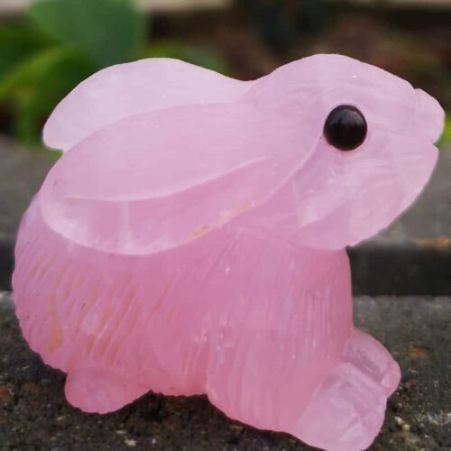 rosenkvarts hare-kanin