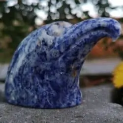 Sodalit ørn som kraftdyr