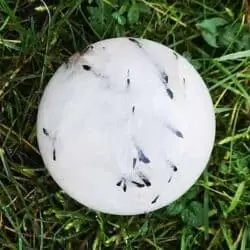 Turmalin kvarts kugle med stand