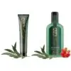 cbd tandpasta mundskyl