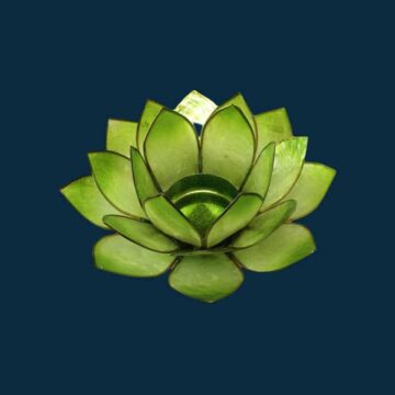 Lotusblomst grøn