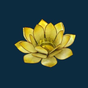 Lotusblomst gul
