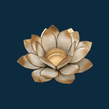 Lotusblomst hvid