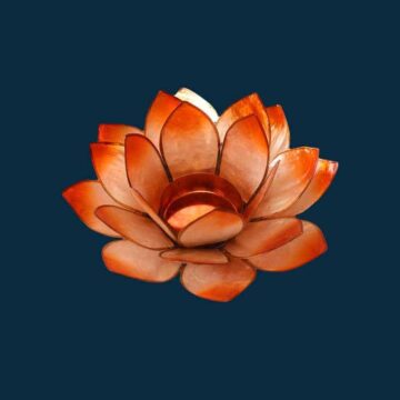 Lotusblomst orange