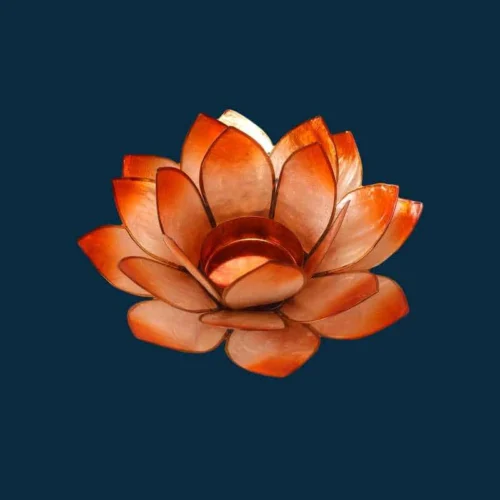 Lotusblomst orange