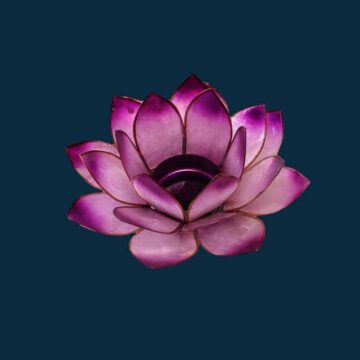 Lotusblomst violet lilla