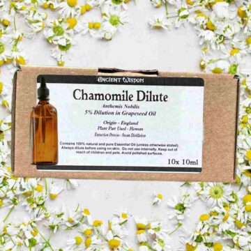 Kamille olie chamomile Roman