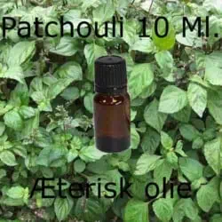 patchouli olie æterisk