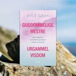 Guddommelige mestre, urgammel visdom af Kyle Gray