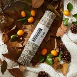 blå salvie fra mexico