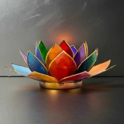 lotusblomst syv chakra