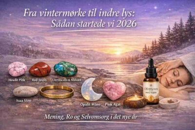 Det nye år 2026