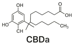 CBDa