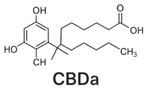 CBDa